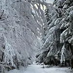 Berghuette Astenpanorama Винтерберг