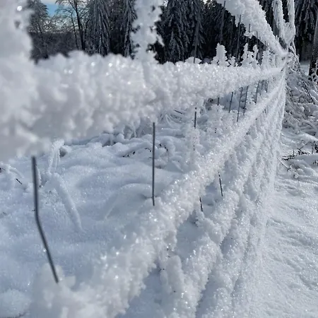 Berghuette Astenpanorama Будинок відпочинку Вінтерберг