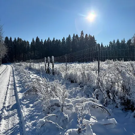 Berghuette Astenpanorama Будинок відпочинку *