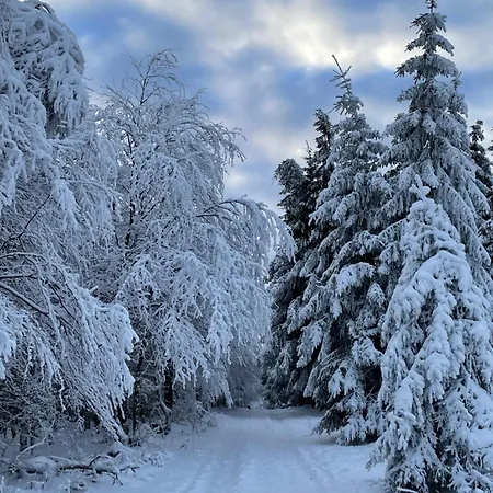 펜션 Berghuette Astenpanorama 빈터베르크