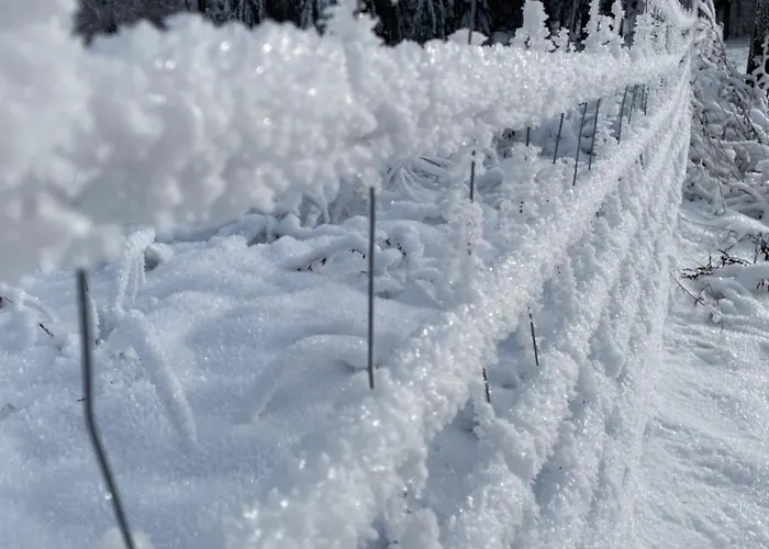 Berghuette Astenpanorama Holiday home Winterberg