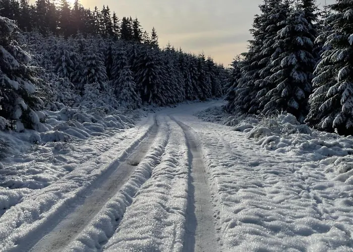 Berghuette Astenpanorama Semesterbostad Winterberg