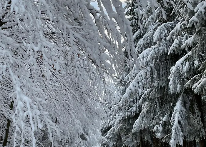 Berghuette Astenpanorama Winterberg