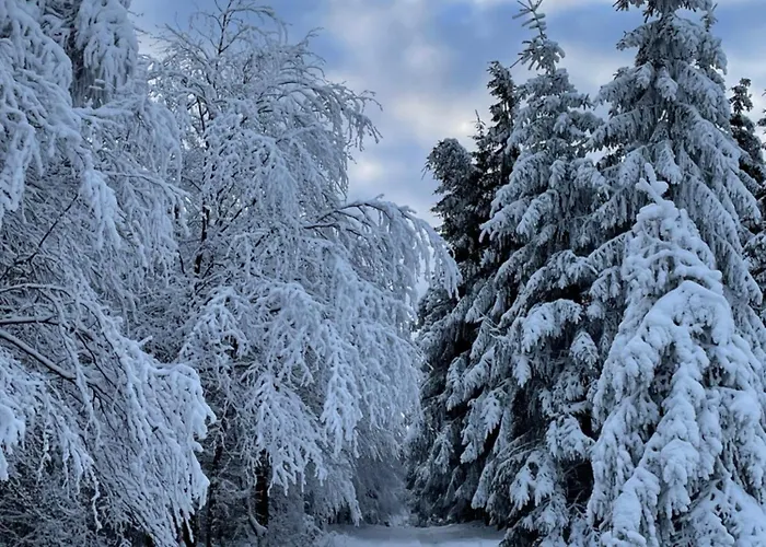 Hébergement de vacances Berghuette Astenpanorama Winterberg
