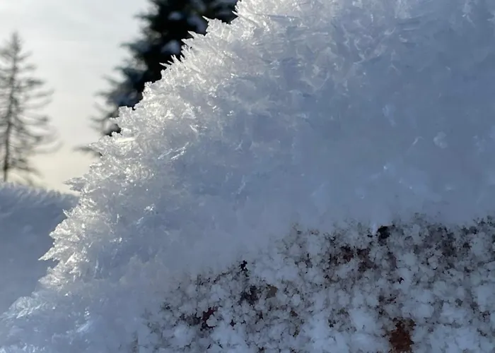 Berghuette Astenpanorama * Winterberg