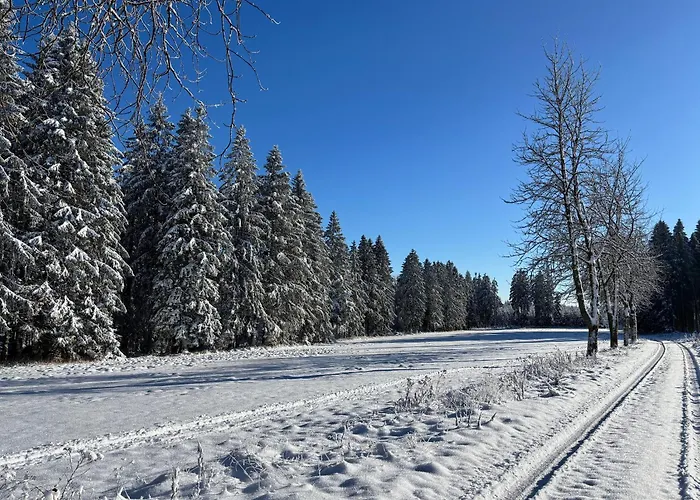 Berghuette Astenpanorama * Winterberg